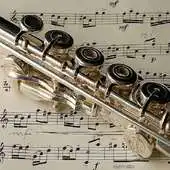Free play online Malayalam Classical Songs APK Free play online Malayalam Classical Songs APK