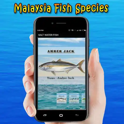 Play Malaysia Fish Species as an online game Malaysia Fish Species with UptoPlay