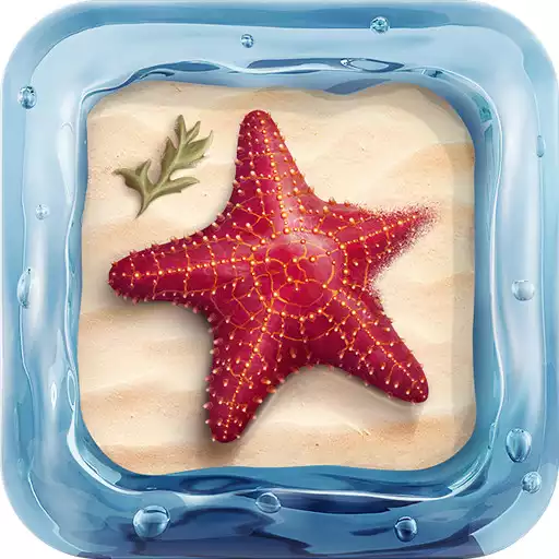 Play Maldives Island Selector APK Play Maldives Island Selector APK