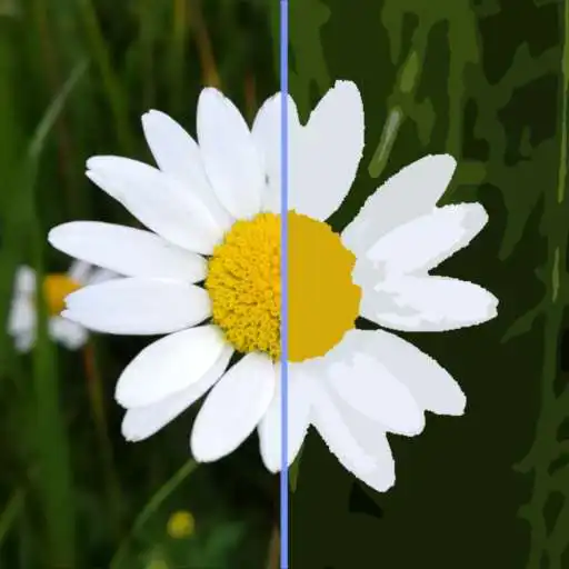 Play Malen nach Zahlen Creator APK