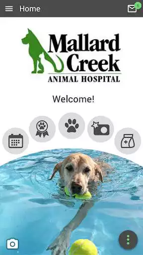 Play Mallard Creek Animal Hospital  and enjoy Mallard Creek Animal Hospital with UptoPlay