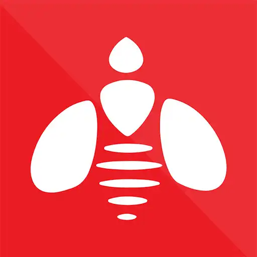 Play Mallen Veterinaria APK Play Mallen Veterinaria APK