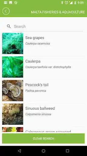 Play Malta Fisheries  Aquaculture as an online game Malta Fisheries  Aquaculture with UptoPlay