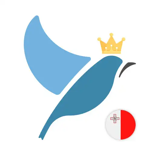 Play Maltese Language Tests APK