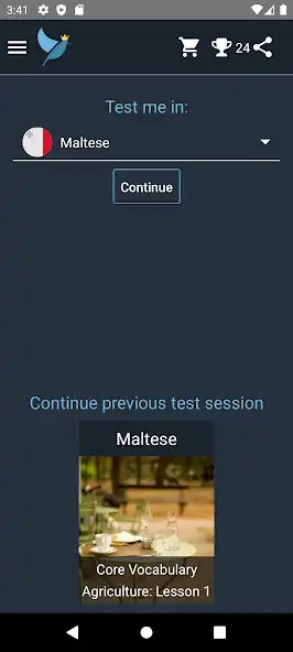 Play Maltese Language Tests  and enjoy Maltese Language Tests with UptoPlay