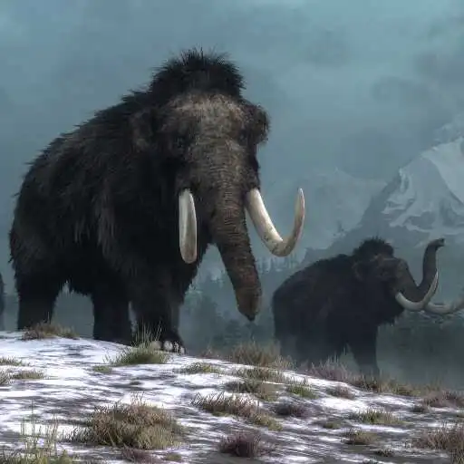 Play Mammoth Wallpaper APK