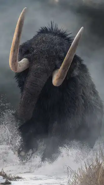 Play Mammoth Wallpaper  and enjoy Mammoth Wallpaper with UptoPlay