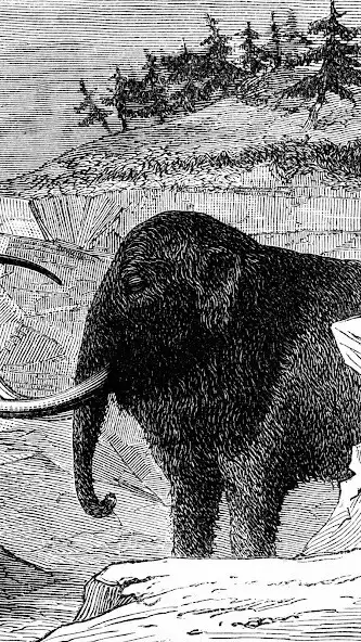 Play Mammoth Wallpaper as an online game Mammoth Wallpaper with UptoPlay