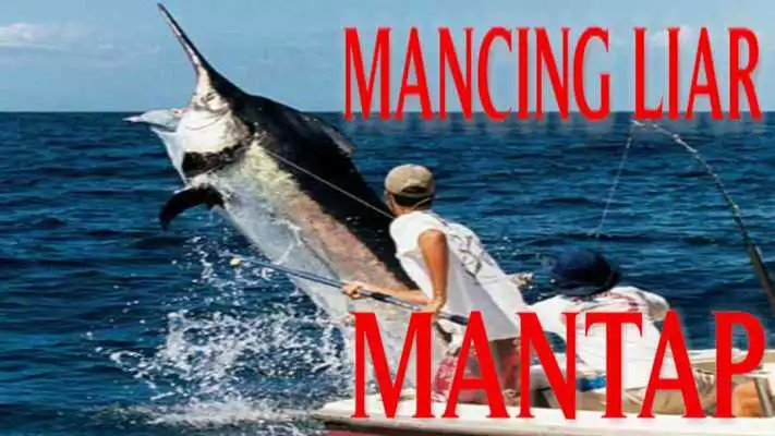 Play Mancing Liar Mantap