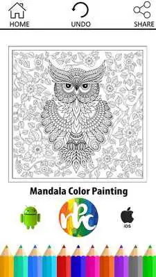 Play Mandala Color Painting