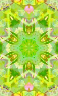 Play Mandala Wallpapers