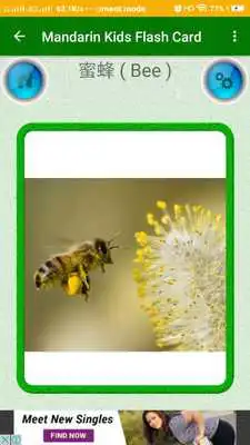 Play Mandarin  Kids Flash Card