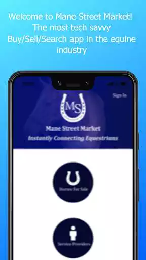 Play Mane Street Market  and enjoy Mane Street Market with UptoPlay