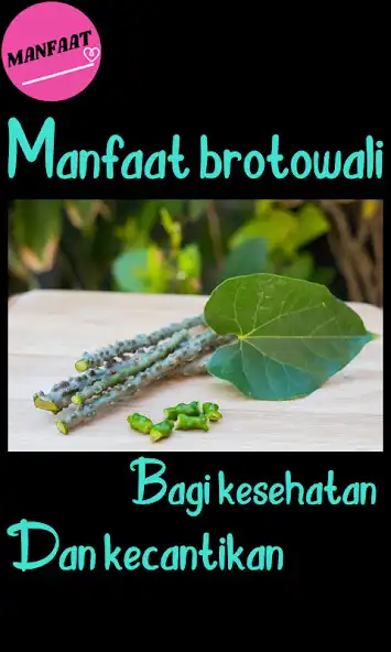 Play Manfaat Brotowali as an online game Manfaat Brotowali with UptoPlay