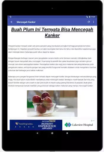 Play Manfaat Buah Plum as an online game Manfaat Buah Plum with UptoPlay