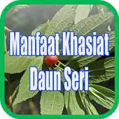 Free play online Manfaat Daun Seri APK