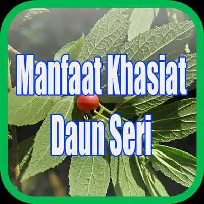 Play Manfaat Daun Seri Play Manfaat Daun Seri