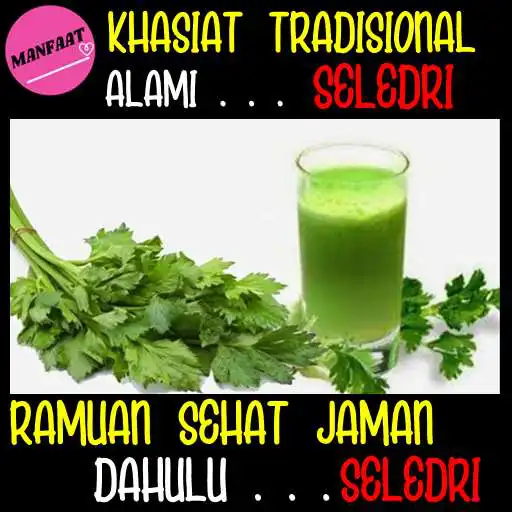 Play Manfaat Seledri  and enjoy Manfaat Seledri with UptoPlay