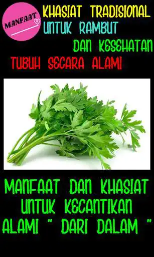Play Manfaat Seledri as an online game Manfaat Seledri with UptoPlay