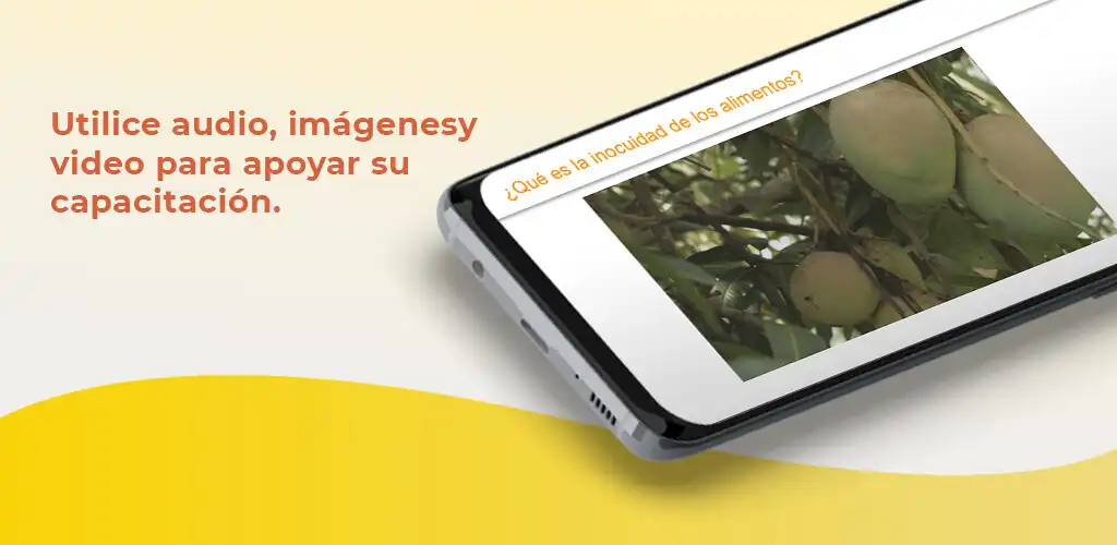 Play Mango Orientation (Fazenda)  and enjoy Mango Orientation (Fazenda) with UptoPlay