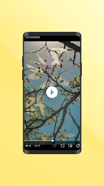 Play Mango Player as an online game Mango Player with UptoPlay