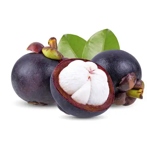 Play Mangosteen tree of you 1877 APK