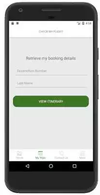 Play Mango Tours