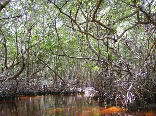Play Mangrove Photo Frames Play Mangrove Photo Frames