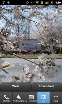 Play Manheim Georgia