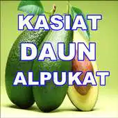 Free play online MANPAAT DAUN ALPUKAT APK Free play online MANPAAT DAUN ALPUKAT APK