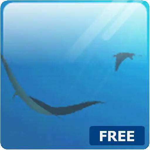 Run free android online Manta Live Wallpaper Trial APK Run free android online Manta Live Wallpaper Trial APK
