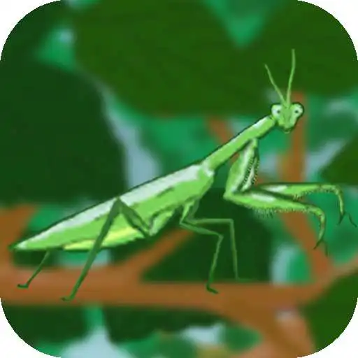 Run free android online Mantis Hunter APK Run free android online Mantis Hunter APK