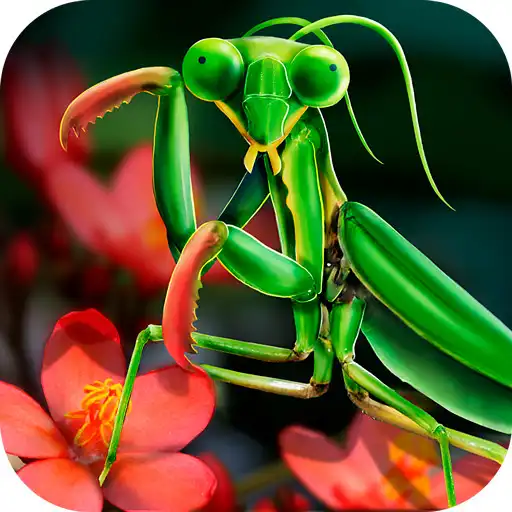 Play Mantis Life and Hunting Simulator. APK Play Mantis Life and Hunting Simulator. APK