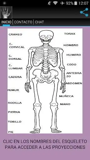 Play MANUAL RADIOLOGIA 3  and enjoy MANUAL RADIOLOGIA 3 with UptoPlay
