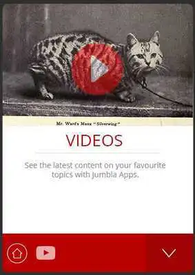 Play Manx Cats Jumbla