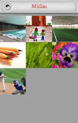 Play Maple Bear Rio Verde