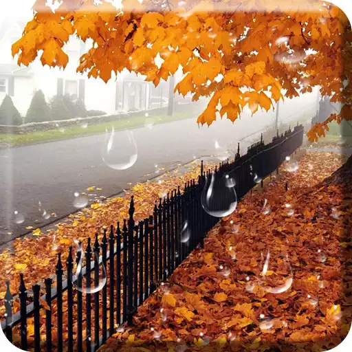 Play Maple Droplets Live Wallpaper APK