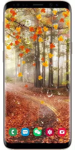 Play Maple Droplets Live Wallpaper  and enjoy Maple Droplets Live Wallpaper with UptoPlay
