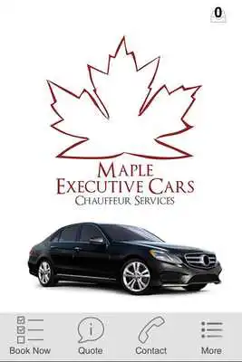 Play Maple Executive Cars