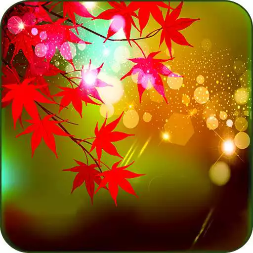 Free play online Maple Leaves Live Wallpaper  APK