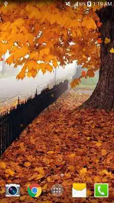 Play Maple Live Wallpaper PRO HD Play Maple Live Wallpaper PRO HD