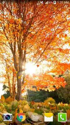 Play Maple Live Wallpaper PRO HD Play Maple Live Wallpaper PRO HD