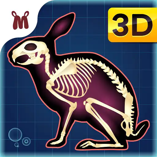 Play Marbel Anatomi Hewan SD 5 APK Play Marbel Anatomi Hewan SD 5 APK