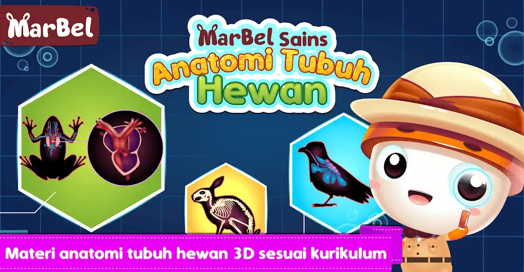 Play Marbel Anatomi Hewan SD 5  and enjoy Marbel Anatomi Hewan SD 5 with UptoPlay