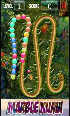 Play Marble Kuma