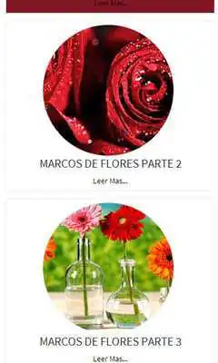 Play Marcos de Flores