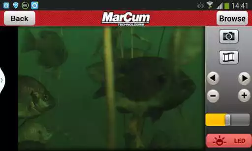 Play MarCum PanCam