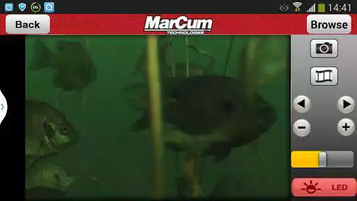 Play MarCum PanCam