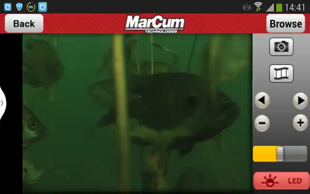 Play MarCum PanCam