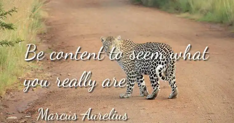 Play Marcus Aurelius Quotes